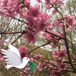 Meet your Posher, Parisa